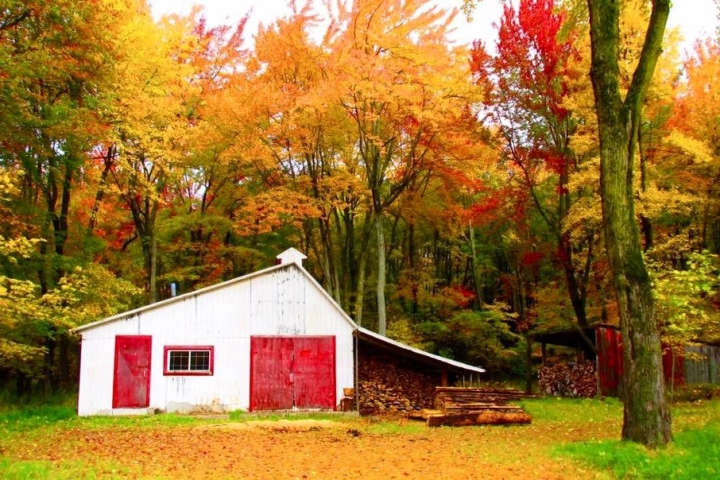 Municipalité de Yamaska